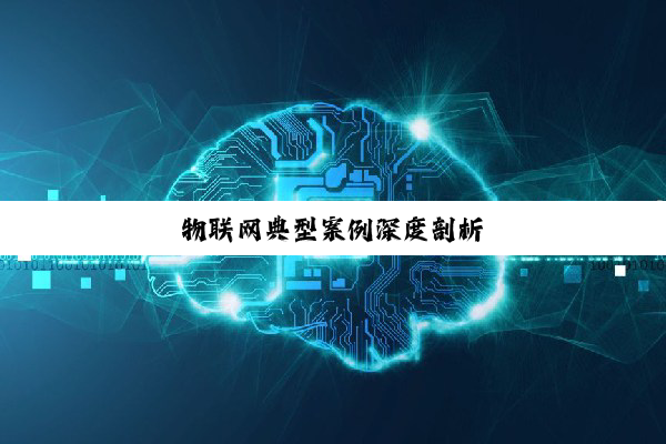 物联网典型案例深度剖析