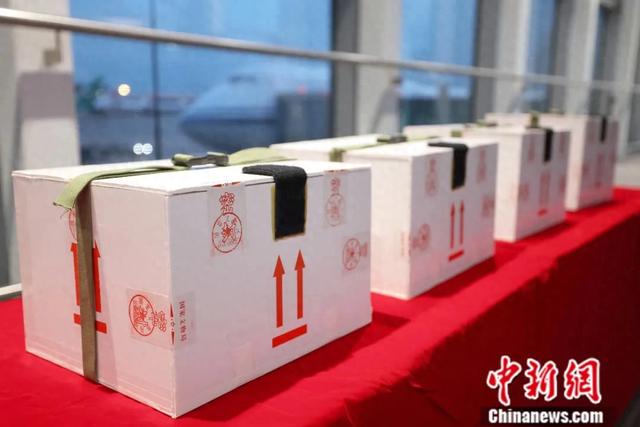2025年5月18日凌晨，子弹库帛书《五行令》《攻守占》抵达北京首都国际机场。图为文物包装箱。中新社记者 富田 摄